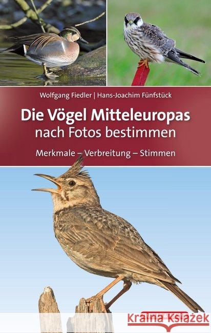 Die Vögel Mitteleuropas Fiedler, Wolfgang, Fünfstück, Hans-Joachim 9783494017648 Quelle & Meyer - książka