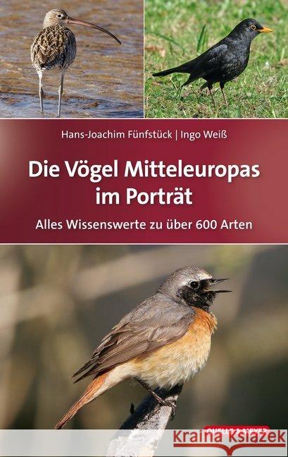 Die Vögel Mitteleuropas im Porträt : Alles Wissenswerte zu über 600 Arten Fünfstück, Hans-Joachim; Weiß, Ingo 9783494016740 Quelle & Meyer - książka