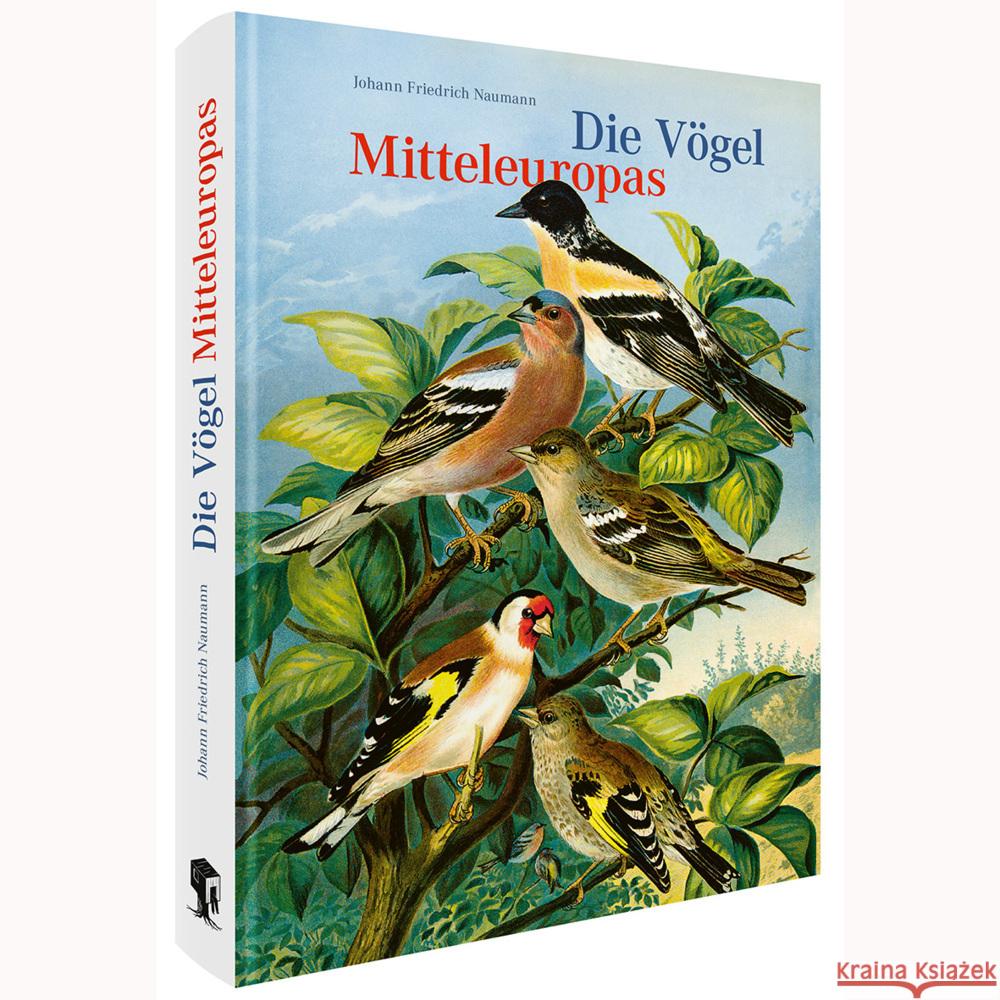 Die Vögel Mitteleuropas (Jubiläumsausgabe) Naumann, Johann Friedrich 9783968492001 Favoritenpresse - książka
