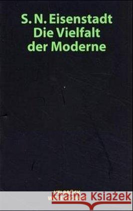 Die Vielfalt der Moderne Eisenstadt, Samuel N.   9783934730120 Velbrück - książka