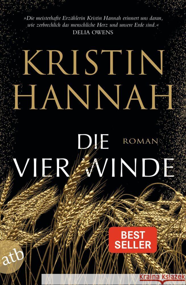 Die vier Winde Hannah, Kristin 9783746640662 Aufbau TB - książka