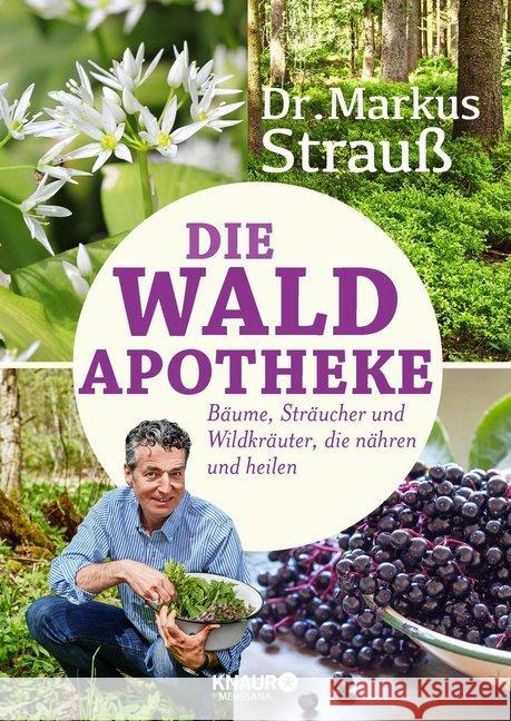 Die Wald-Apotheke : Bäume, Sträucher und Wildkräuter, die nähren und heilen Strauß, Markus 9783426658048 Knaur MensSana - książka