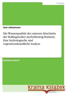 Die Wasserqualität des unteren Abschnitts der Bollingstedter Au/Schleswig-Holstein. Eine hydrologische und vegetationskundliche Analyse Jost Johannsen 9783668699823 Grin Verlag - książka