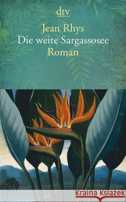 Die weite Sargassosee : Roman Rhys, Jean 9783423145718 DTV - książka