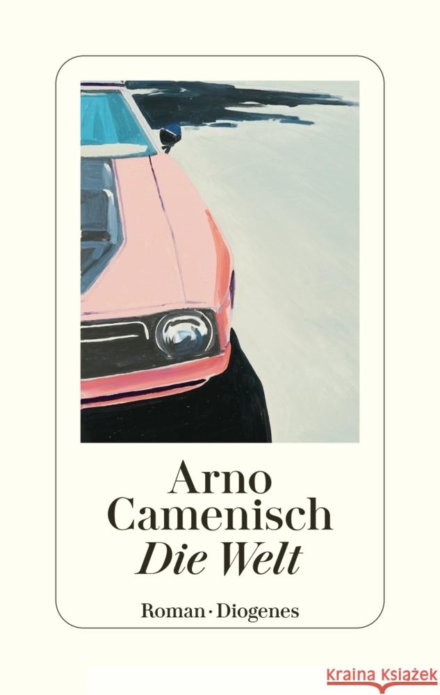 Die Welt Camenisch, Arno 9783257072204 Diogenes - książka