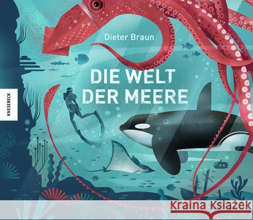 Die Welt der Meere Braun, Dieter 9783957284815 Knesebeck - książka