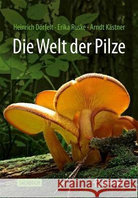 Die Welt der Pilze Heinrich D?rfelt Erika Ruske Arndt K?stner 9783662654361 Springer - książka