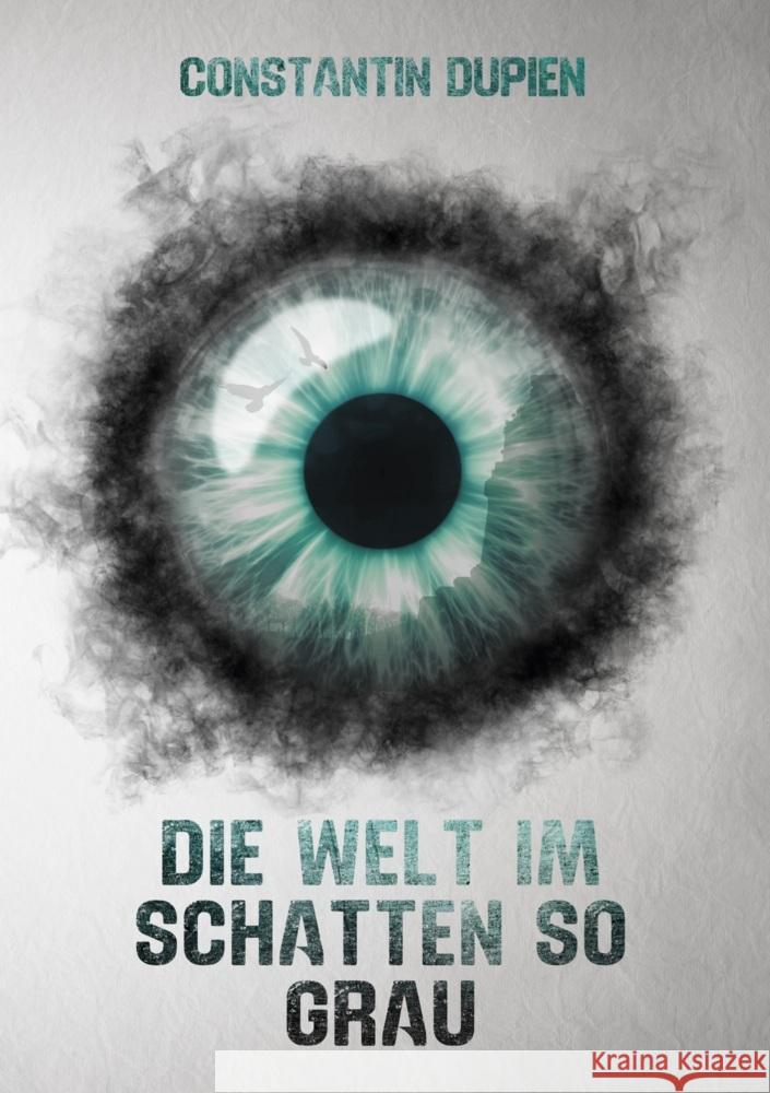 Die Welt im Schatten so grau Dupien, Constantin 9783819459214 via tolino media - książka