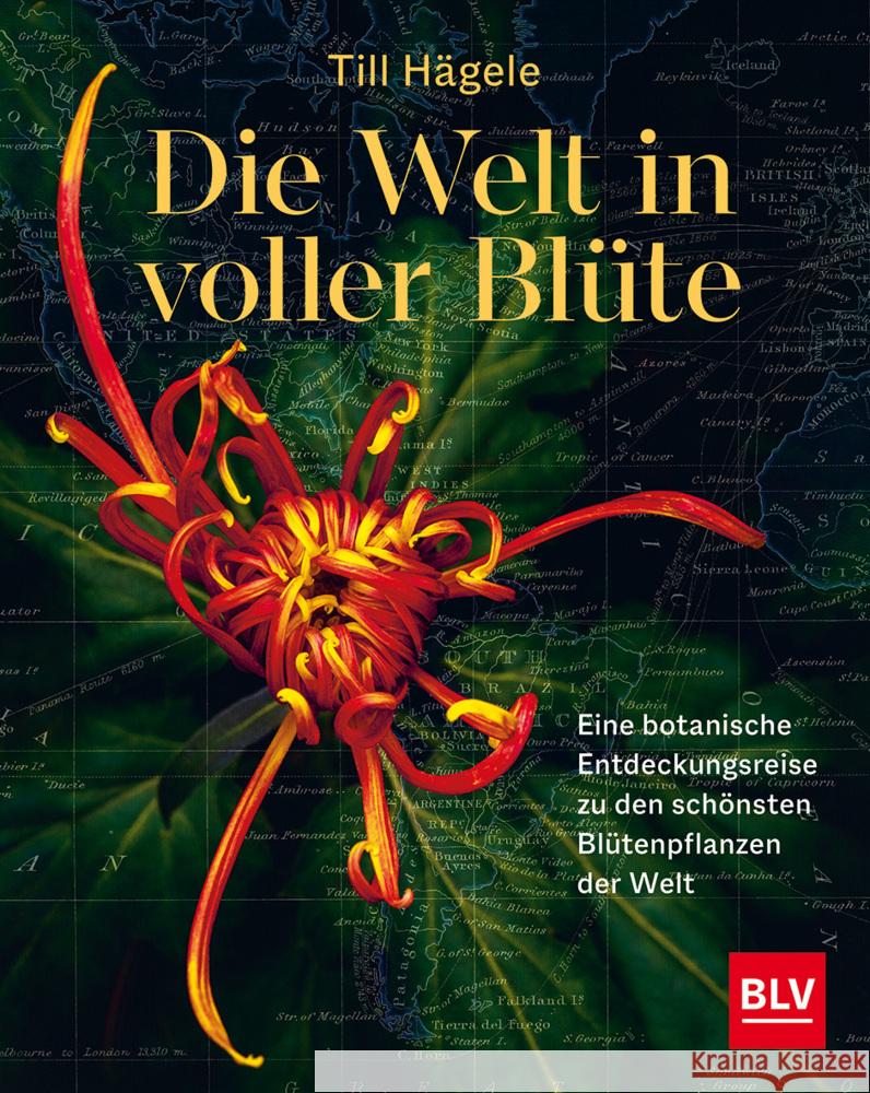 Die Welt in voller Blüte Hägele, Till 9783967470635 BLV Buchverlag - książka