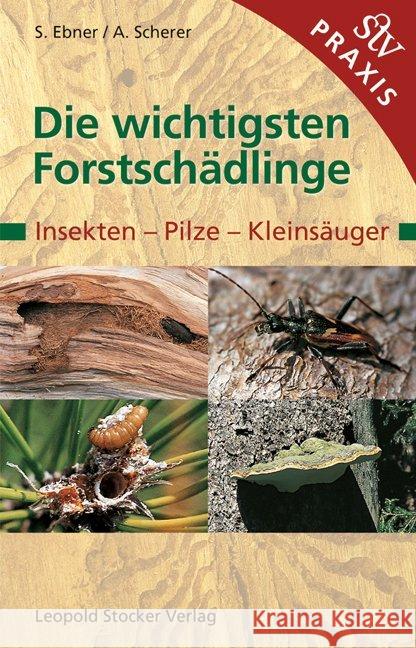 Die wichtigsten Forstschädlinge : Insekten, Pilze, Kleinsäuger Ebner, Stefan Scherer, Andreas  9783702009144 Stocker - książka