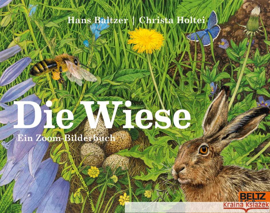 Die Wiese Baltzer, Hans, Holtei, Christa 9783407762795 Beltz - książka