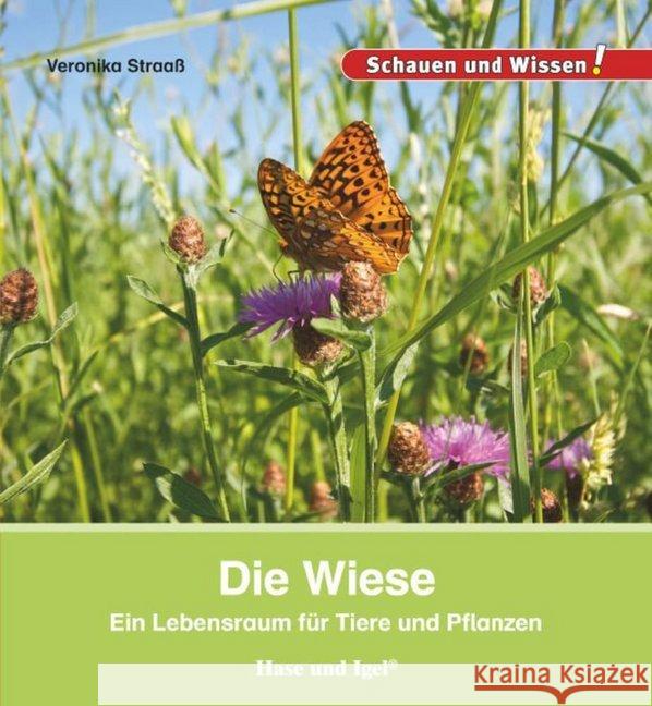 Die Wiese : Ein Lebensraum für Tiere und Pflanzen Straaß, Veronika 9783867607926 Hase und Igel - książka