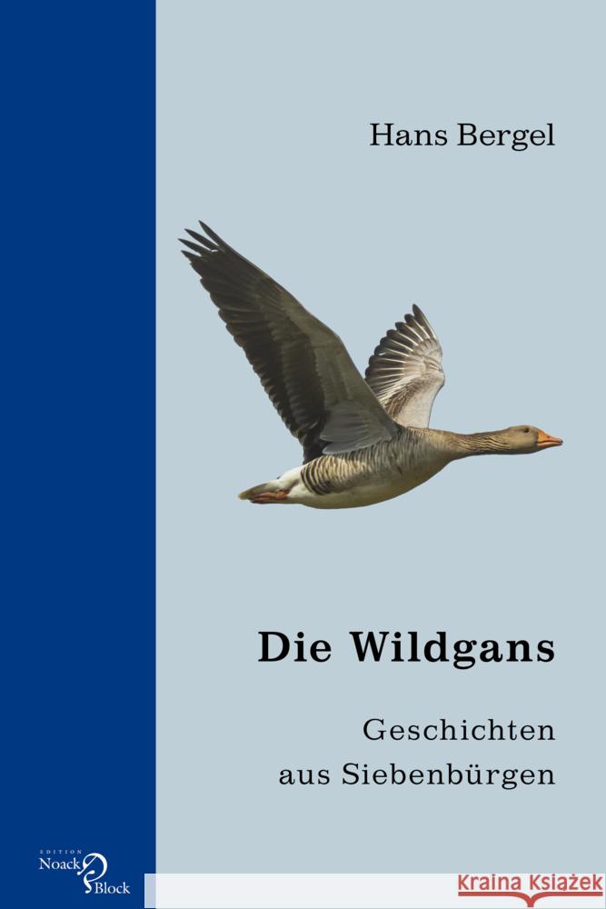 Die Wildgans Bergel, Hans 9783868131345 Edition Noack & Block - książka