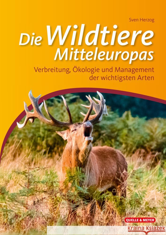 Die Wildtiere Mitteleuropas Herzog, Sven 9783494018232 Quelle & Meyer - książka