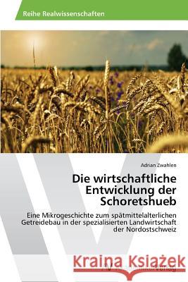 Die Wirtschaftliche Entwicklung Der Schoretshueb    9783639496659 AV Akademikerverlag - książka