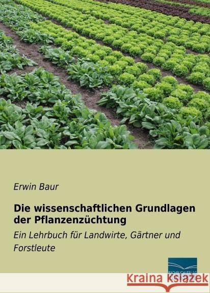 Die wissenschaftlichen Grundlagen der Pflanzenzüchtung : Ein Lehrbuch für Landwirte, Gärtner und Forstleute Baur, Erwin 9783956925153 Fachbuchverlag-Dresden - książka