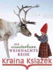 Die wunderbare Weihnachtsreise Evert, Lori 9783737351171 FISCHER Sauerländer - książka