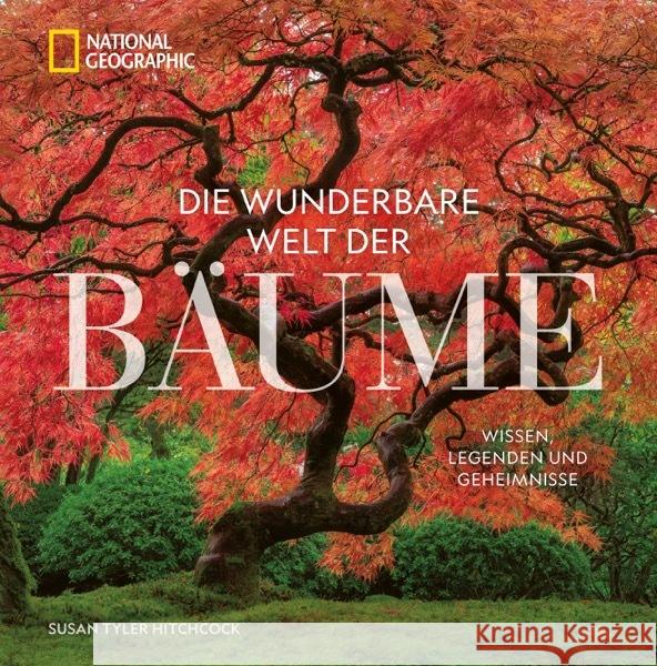 Die wunderbare Welt der Bäume Hitchcock, Susan Tyler 9783987010590 National Geographic Deutschland - książka