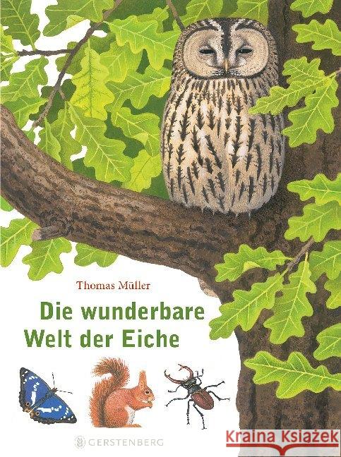 Die wunderbare Welt der Eiche Müller, Thomas 9783836956802 Gerstenberg Verlag - książka