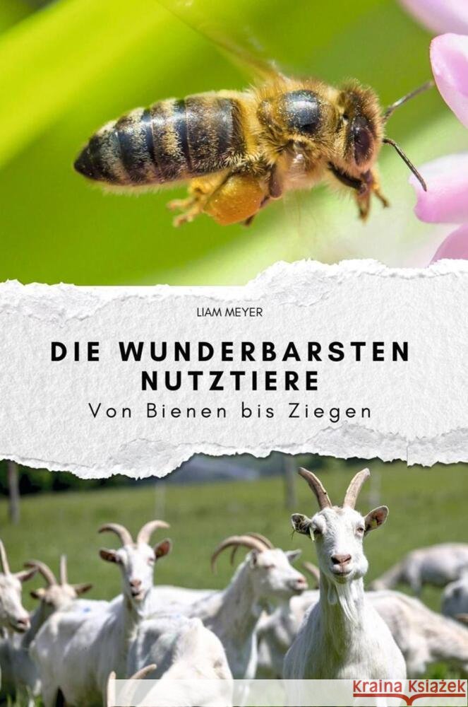 Die wunderbarsten Nutztiere Meyer, Liam 9783759101549 FlipFlop - książka