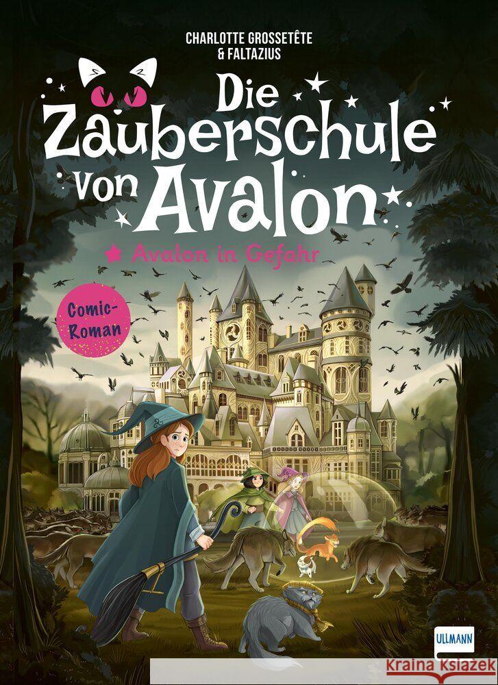 Die Zauberschule von Avalon - Avalon in Gefahr Grossetête, Charlotte 9783741527913 Ullmann Medien - książka