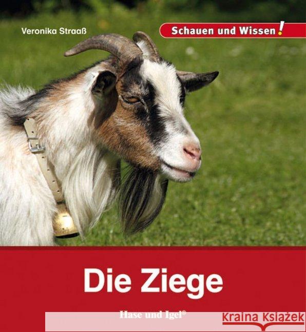 Die Ziege Straaß, Veronika 9783867607872 Hase und Igel - książka