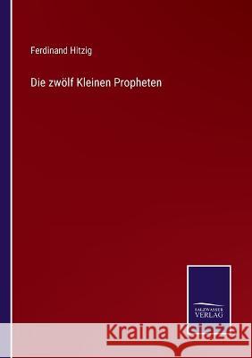 Die zwölf Kleinen Propheten Ferdinand Hitzig 9783375070601 Salzwasser-Verlag - książka