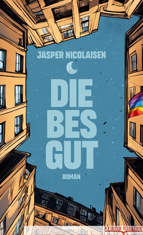 Diebesgut Nicolaisen, Jasper 9783896563422 Querverlag - książka