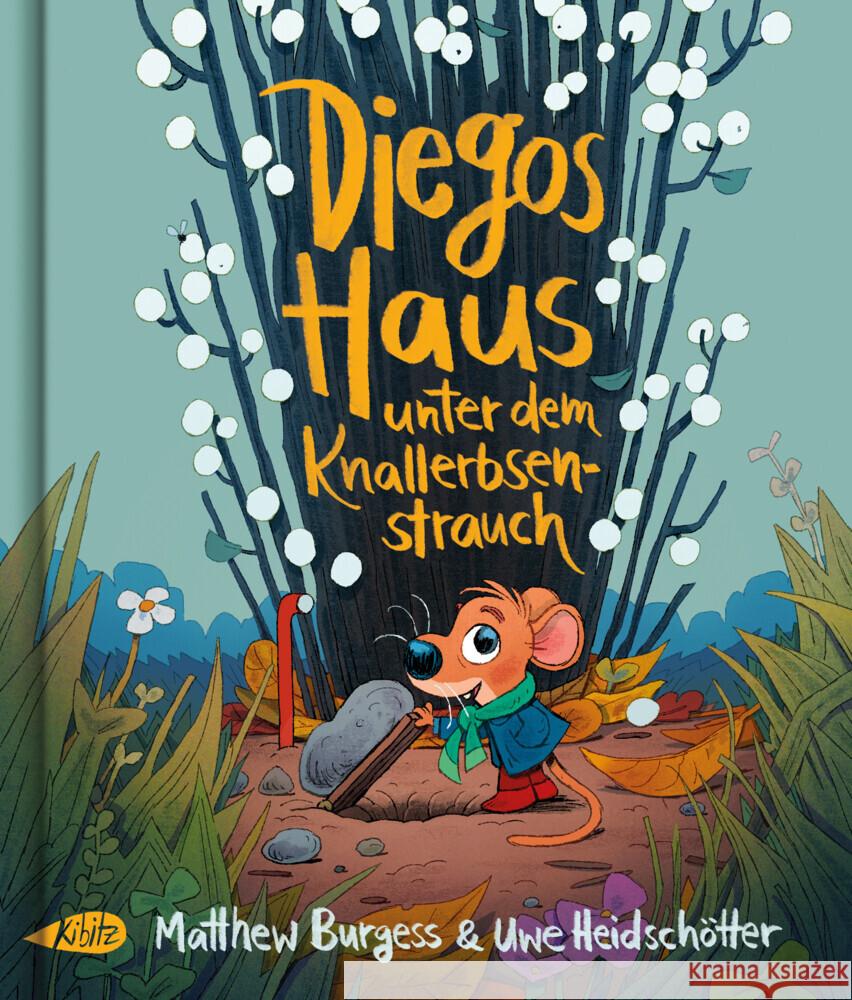 Diegos Haus unter dem Knallerbsenstrauch Burgess, Matthew 9783948690182 Kibitz, Berlin - książka