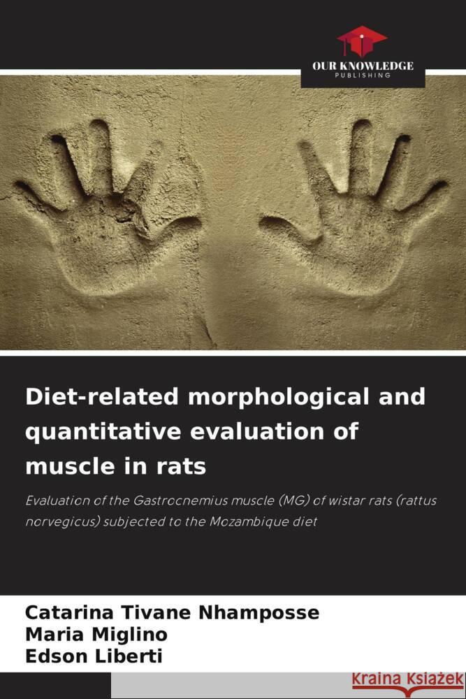 Diet-related morphological and quantitative evaluation of muscle in rats Nhamposse, Catarina Tivane, Miglino, Maria, Liberti, Edson 9786208644291 Our Knowledge Publishing - książka