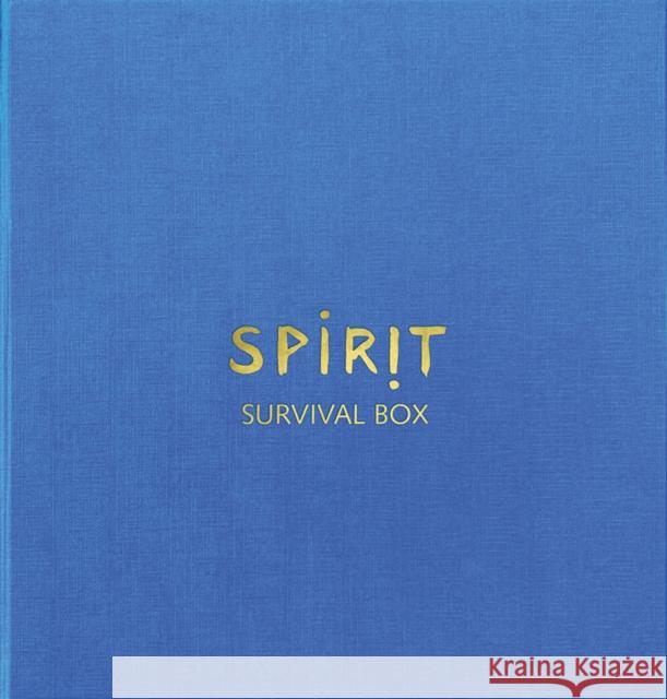 Dieter Huber: Spirit: Survival Box Huber, Dieter 9783735607010 Kerber Verlag - książka