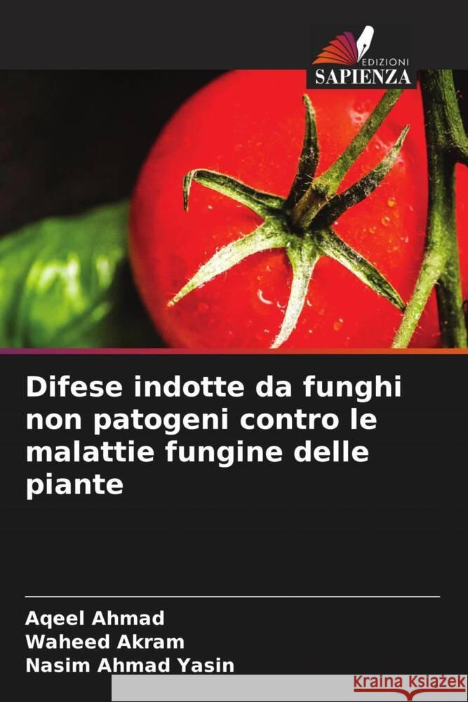 Difese indotte da funghi non patogeni contro le malattie fungine delle piante Ahmad, Aqeel, Akram, Waheed, Yasin, Nasim Ahmad 9786204449630 Edizioni Sapienza - książka