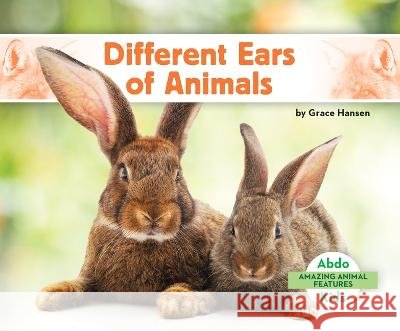 Different Ears of Animals Grace Hansen 9781098266257 Abdo Kids Jumbo - książka