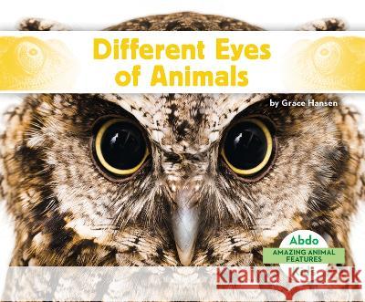 Different Eyes of Animals Grace Hansen 9781098266264 Abdo Kids Jumbo - książka