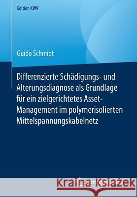 Differenzierte Schädigungs- Und Alterungsdiagnose ALS Grundlage Für Ein Zielgerichtetes Asset-Management Im Polymerisolierten Mittelspannungskabelnetz Schmidt, Guido 9783658246839 Springer Gabler - książka