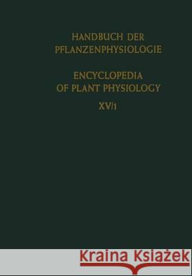 Differenzierung Und Entwicklung / Differentiation and Development Lang, A. 9783642500909 Springer - książka