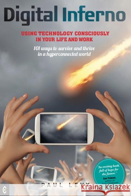 Digital Inferno: Using Technology Consciously in Your Life and Work, 101 Ways to Survive and Thrive in a Hyperconnected World Paul Levy 9781905570744 Clairview Books - książka