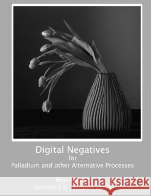 Digital Negatives for Palladium and Other Alternative Processes Ron Reeder 9780557604685 Lulu.com - książka