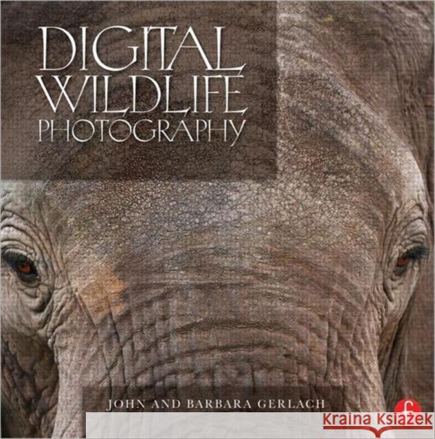 Digital Wildlife Photography John Gerlach 9780240818832  - książka