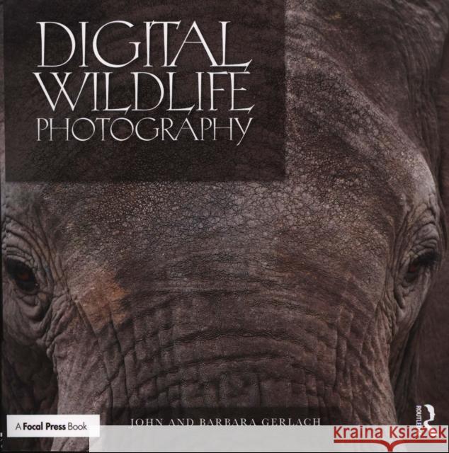 Digital Wildlife Photography John and Barbara Gerlach 9781138297869 Taylor & Francis Ltd - książka