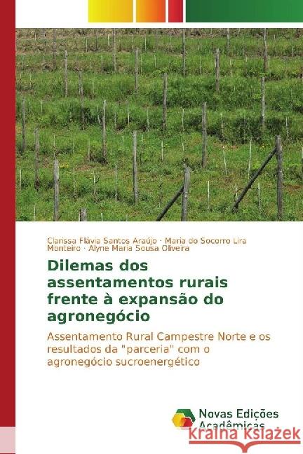 Dilemas dos assentamentos rurais frente à expansão do agronegócio : Assentamento Rural Campestre Norte e os resultados da 