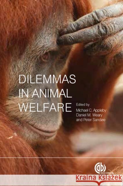 Dilemmas in Animal Welfare Michael C. Appleby Peter Sandoe Daniel M. Weary 9781780642161 CABI Publishing - książka