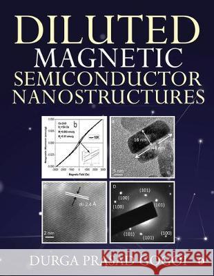 Diluted Magnetic Semiconductor Nanostructures Durga Prasad Gogoi 9781646789863 Notion Press - książka