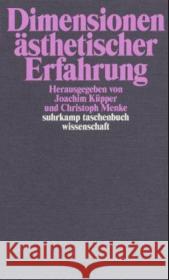 Dimensionen ästhetischer Erfahrung  9783518292402 Suhrkamp - książka