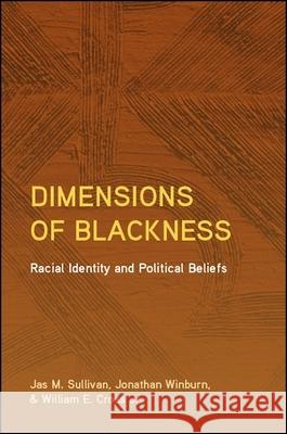 Dimensions of Blackness: Racial Identity and Political Beliefs Jas M. Sullivan Jonathan Winburn William E. Cross 9781438471617 State University of New York Press - książka