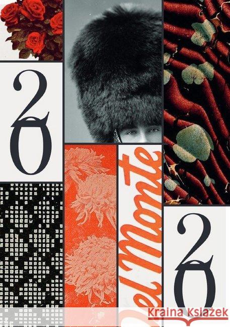 DIN A5 Wochenplaner 2020 Plener, Christina 9783748585411 epubli - książka