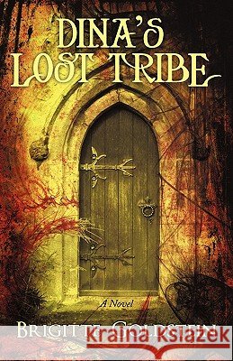 Dina's Lost Tribe Brigitte Goldstein 9781450251075 iUniverse.com - książka