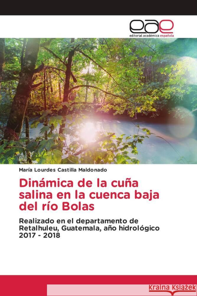 Dinamica de la cuna salina en la cuenca baja del rio Bolas Maria Lourdes Castilla Maldonado   9786202118200 Editorial Academica Espanola - książka