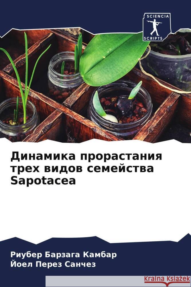 Dinamika prorastaniq treh widow semejstwa Sapotacea Barzaga Kambar, Riuber, Perez Sanchez, Joel 9786204938530 Sciencia Scripts - książka