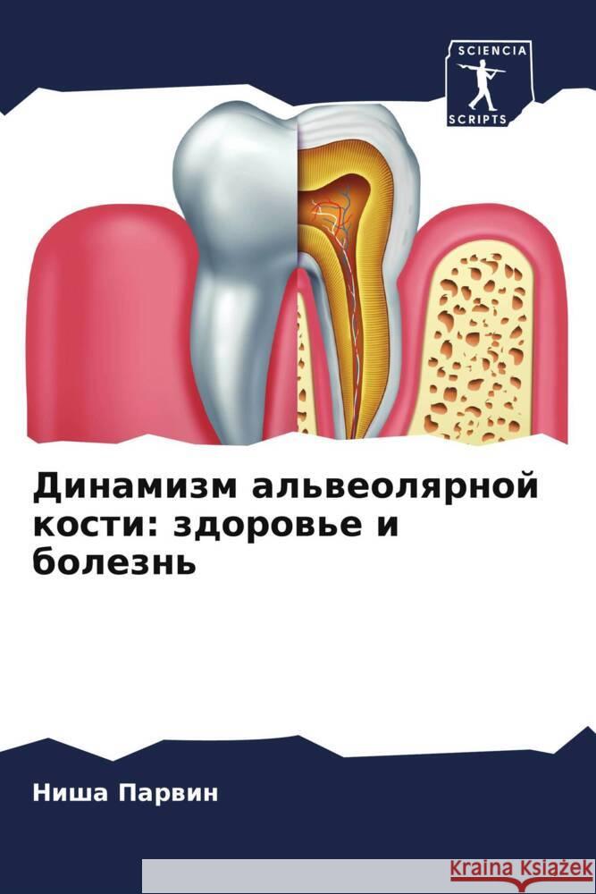 Dinamizm al'weolqrnoj kosti: zdorow'e i bolezn' Parwin, Nisha 9786205567111 Sciencia Scripts - książka